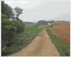  2025Ÿ��398  �����