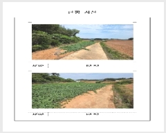  2025Ÿ��398  �����