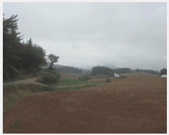  2025Ÿ��398  �����