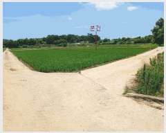  2025Ÿ��414 ���� ���ϱ� ������ ���Ҹ� 426-2      ����(��)���