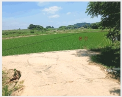  2025Ÿ��414 ���� ���ϱ� ������ ���Ҹ� 426-2      ����(��)���