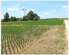  2025Ÿ��414 ���� ���ϱ� ������ ���Ҹ� 426-2      ����(��)���