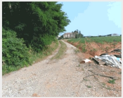  2025Ÿ��430  �����