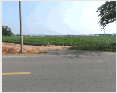  2025Ÿ��430  �����