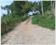  2025Ÿ��430  �����