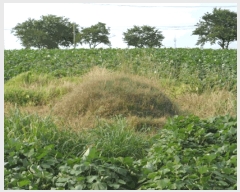  2025Ÿ��430  �����