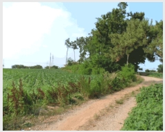  2025Ÿ��430  �����