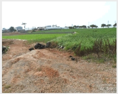  2025Ÿ��430  �����