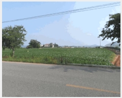  2025Ÿ��430  �����