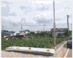  2025Ÿ��454 ���� ���ȱ� ������ ������ 226-1      ����(��)���