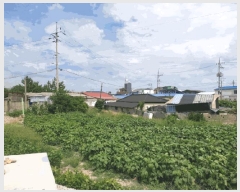  2025Ÿ��454 ���� ���ȱ� ������ ������ 226-1      ����(��)���