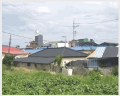  2025Ÿ��454 ���� ���ȱ� ������ ������ 226-1      ����(��)���