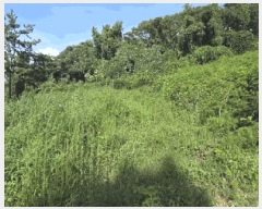  2025Ÿ��461  �����