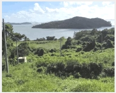  2025Ÿ��461  �����