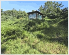  2025Ÿ��461  �����