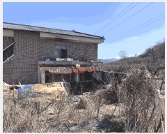  2025Ÿ��485  �������