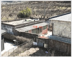  2025Ÿ��485  �������