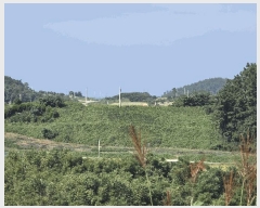  2025Ÿ��511 ���� ���ȱ� ����� ������ 616-30      ����(��1)���