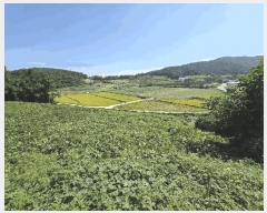  2025Ÿ��511 ���� ���ȱ� ����� ������ 616-30      ����(��1)���