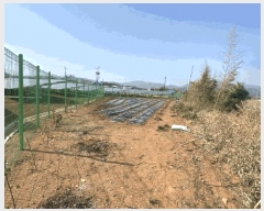  2025Ÿ��50923  �������