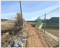  2025Ÿ��50923  �������