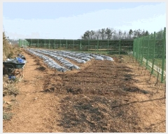  2025Ÿ��50923  �������