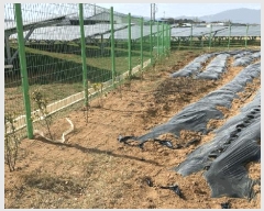  2025Ÿ��50923  �������