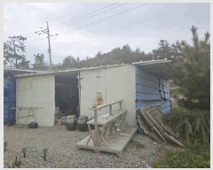  2025Ÿ��50974  �������