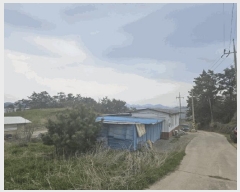  2025Ÿ��50974  �������