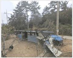  2025Ÿ��50974  �������