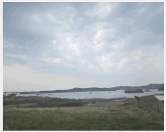  2025Ÿ��50974  �������