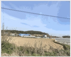  2025Ÿ��50983 ���� ���ϱ� ��ȣ�� ������ 438      ����(��)���