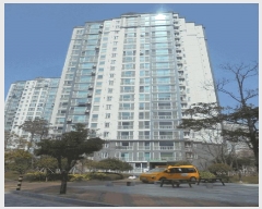  2025Ÿ50996   ϵ 1246 ȭϺä 108 9905ȣ    Ʈ