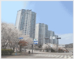  2025Ÿ50996   ϵ 1246 ȭϺä 108 9905ȣ    Ʈ