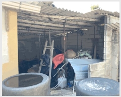  2025Ÿ51024  ȱ ź ̻긮 424      ()