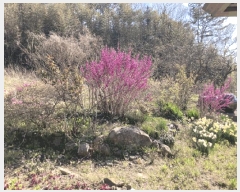  2025Ÿ51024  ȱ ź ̻긮 424      ()