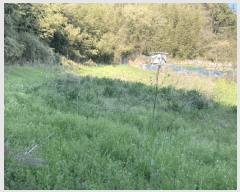  2025Ÿ51024  ȱ ź ̻긮 424      ()