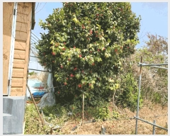  2025Ÿ51029  ϱ ȣ ȣ 1353-1      (1)