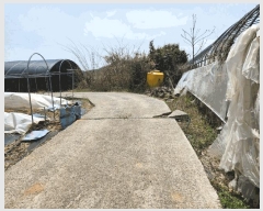  2025Ÿ51029  ϱ ȣ ȣ 1353-1      (1)