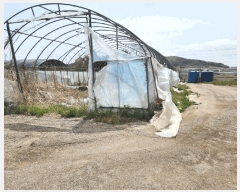  2025Ÿ51029  ϱ ȣ ȣ 1353-1      (1)