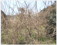  2025Ÿ51029  ϱ ȣ ȣ 1353-1      (1)