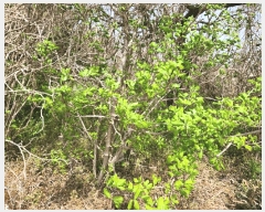  2025Ÿ51029  ϱ ȣ ȣ 1353-1      (1)