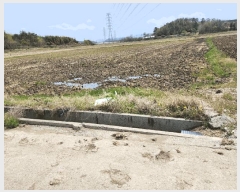  2025Ÿ51029  ϱ ȣ ȣ 1353-1      (1)