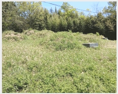  2025Ÿ51038   б  104-1      (Ӿ)