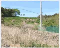  2025Ÿ51038   б  104-1      (Ӿ)