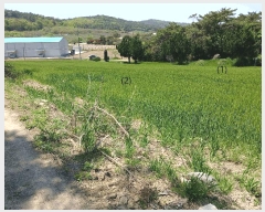  2025Ÿ51038   б  104-1      (Ӿ)