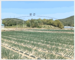  2025Ÿ51038   б  104-1      (Ӿ)