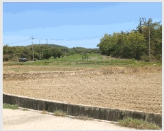  2025Ÿ51038   б  104-1      (Ӿ)