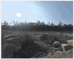  2025Ÿ��51060  �Ӿ߰��