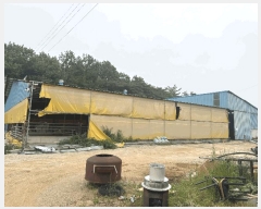  2025Ÿ��51090 ���� ���ȱ� ������ ����� 504      ���(�󰡽ü�)���